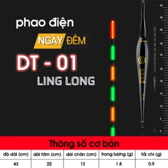 Phao điện Linh Long DT