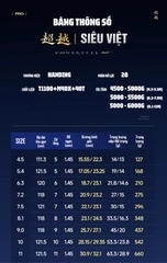 Cần câu Handing Siêu Việt