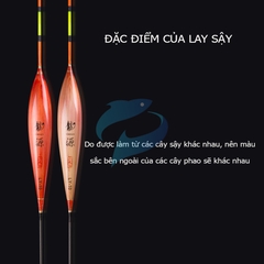 Phao Cỏ Huyết Tiểu Phượng Hoàng