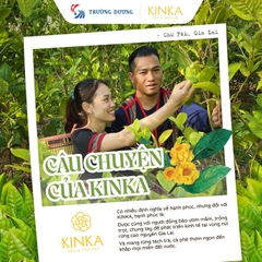 Trà Atiso | 50g (25 gói x 2g)