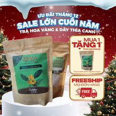 Diabetea - Trà hoa vàng Gia Lai & Dây thìa canh | Túi tiết kiệm 120g (60 gói x 2g)