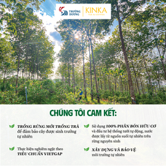 Hoa Trà Hoa Vàng Gia Lai - Set Trà Phúc Duyên KINKA | Hộp 50g + 10 gói trà túi lọc