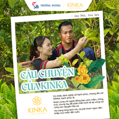 Bột Ngũ Cốc Dinh Dưỡng KINKA - Có Đường | 200g