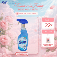 Nước Lau Kính REVY Hương Bạc Hà 500ml | Chống Đọng Sương