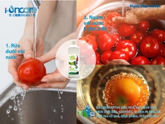 CHAI 1L | Nước ion rửa rau củ quả, thực phẩm, thuỷ hải sản I-ONCARE