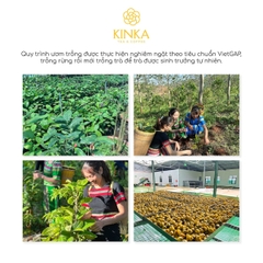 Trà Hoa Vàng Gia Lai & Atisô