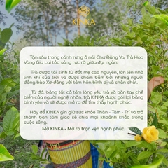 Trà Hoa Vàng Gia Lai & Atisô