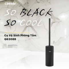 Cọ vệ sinh bàn cầu Caesar Q6308B màu đen