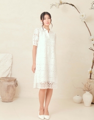 Đầm Ren Có Lót Cổ Sơ Mi Thun Swanlake - D11829LW01