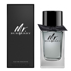 BURBERRY Mr. Burberry Eau de Toilette