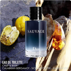 Dior Sauvage Eau de Toilette