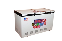 Tủ đông Denver AS 850HDI