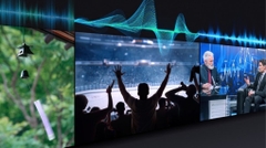 Smart Tivi Samsung 43DU8000 4K 43 inch [2024]