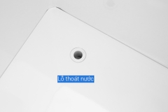 Tủ đông Kangaroo 248 lít KG308C1