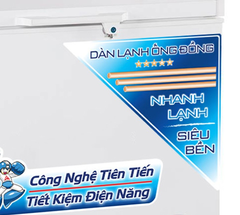 Tủ đông Alaska 400 lít BD-400C