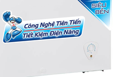 Tủ đông Alaska 400 lít BD-400C
