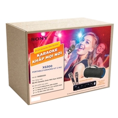 Bộ Kit Karaoke 2mic Nhỏ Gọn XG300