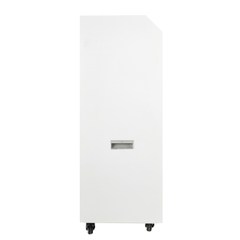 Máy hút ẩm Công nghiệp Model BL-890D 90L/d