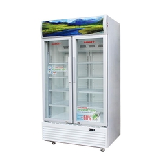 Tủ mát Sanaky VH-8009HP3
