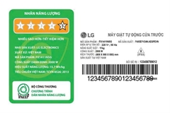 Máy giặt LG AI DD Inverter 11 kg FX1411N5G 2025