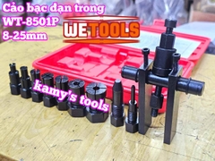 Bộ cảo bạc đạn trong chữ H từ 8-25mm 10 chi tiết Wetools WT-8501P