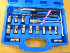 Bộ dụng cụ vệ sinh sam béc dầu, làm sạch lỗ kim phun máy dầu diesel 17 chi tiết Trigoldte