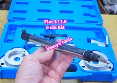 Bộ dụng cụ cân cam dưỡng đặt cam Fiat 1.3 1.6 Wetools 6 chi tiết WTF1693