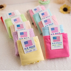 Combo 10 quần lót nữ - quần chip nữ trơn cotton co dãn 4 chiều CCD41