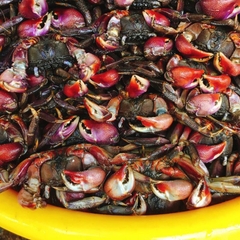 Ba khía muối nước mắm (Size cồ) - Hộp 1kg (450g Ba khía + nước mắm)