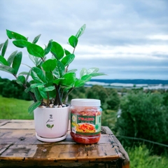 Mắm tôm chua (Có Gừng) - Hộp 800g