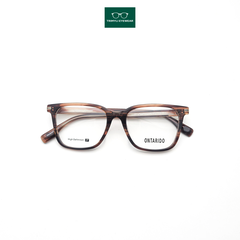 Gọng nhựa acetate cao cấp màu đồi mồi 242204 Trimyli Eyewear