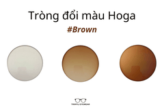 TRÒNG ĐỔI MÀU HOGA HÀN QUỐC MÀU KHÓI ĐEN/NÂU TRÀ