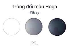 TRÒNG ĐỔI MÀU HOGA HÀN QUỐC MÀU KHÓI ĐEN/NÂU TRÀ
