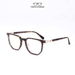 Gọng nhựa acetate cao cấp kiểu dáng độc đáo HE304