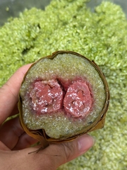 Bánh tét lá dứa chuối 600g