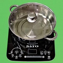 Bếp Từ Đơn SaTo - BT - 043