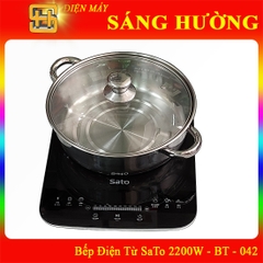 Bếp Từ Đơn SaTo - BT042