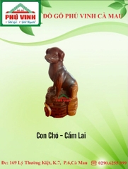 Con Chó - Cẩm Lai