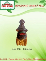 Con Rắn - Cẩm Lai