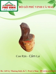 Con Rắn - Cẩm Lai