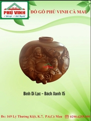 Bình Di Lạc - Bách Xanh 15