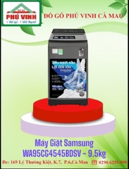 Máy Giặt Samsung WA95CG4545BDSV - 9,5Kg
