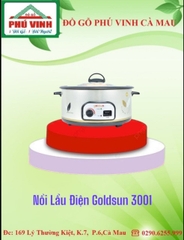 Nồi Lẩu Điện, Goldsun 3001