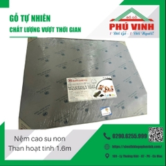 Nệm Thái Hưng, Cao Su Than Hoạt Tính - 10 x 160