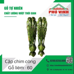 Cặp Chim Công