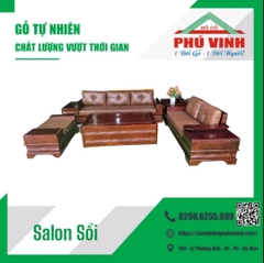 Salon Sồi Lau Màu Ốc Chó