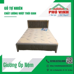 Giường Sắt Ốp Nệm, Ống Vuông 4x8 - 1.6m