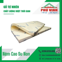 Nệm Cao Su Non PMC