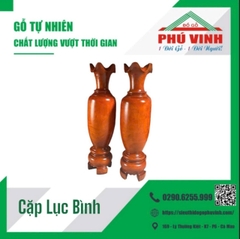 Cặp Lục Bình, Xà Cừ - 1.6m