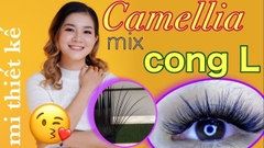 MI SOLE CAMELLIA (MI HOA HỒNG ĐEN)